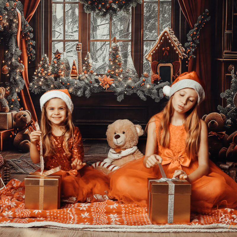 Mini s&eacute;ance de No&euml;l ouverte !!! Seloncourt