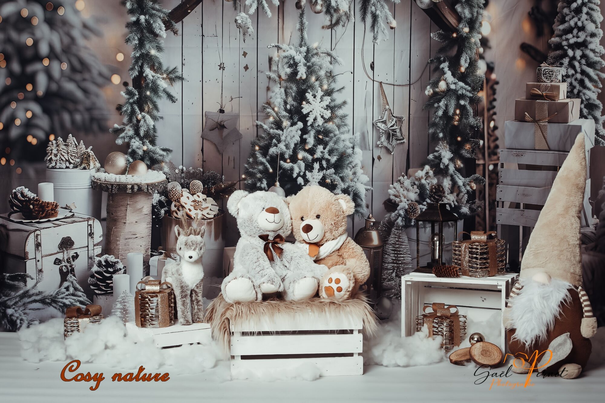 5D4_1089 1 | Gaël Photographe Mini séance de Noël ouverte !!! Seloncourt 0
