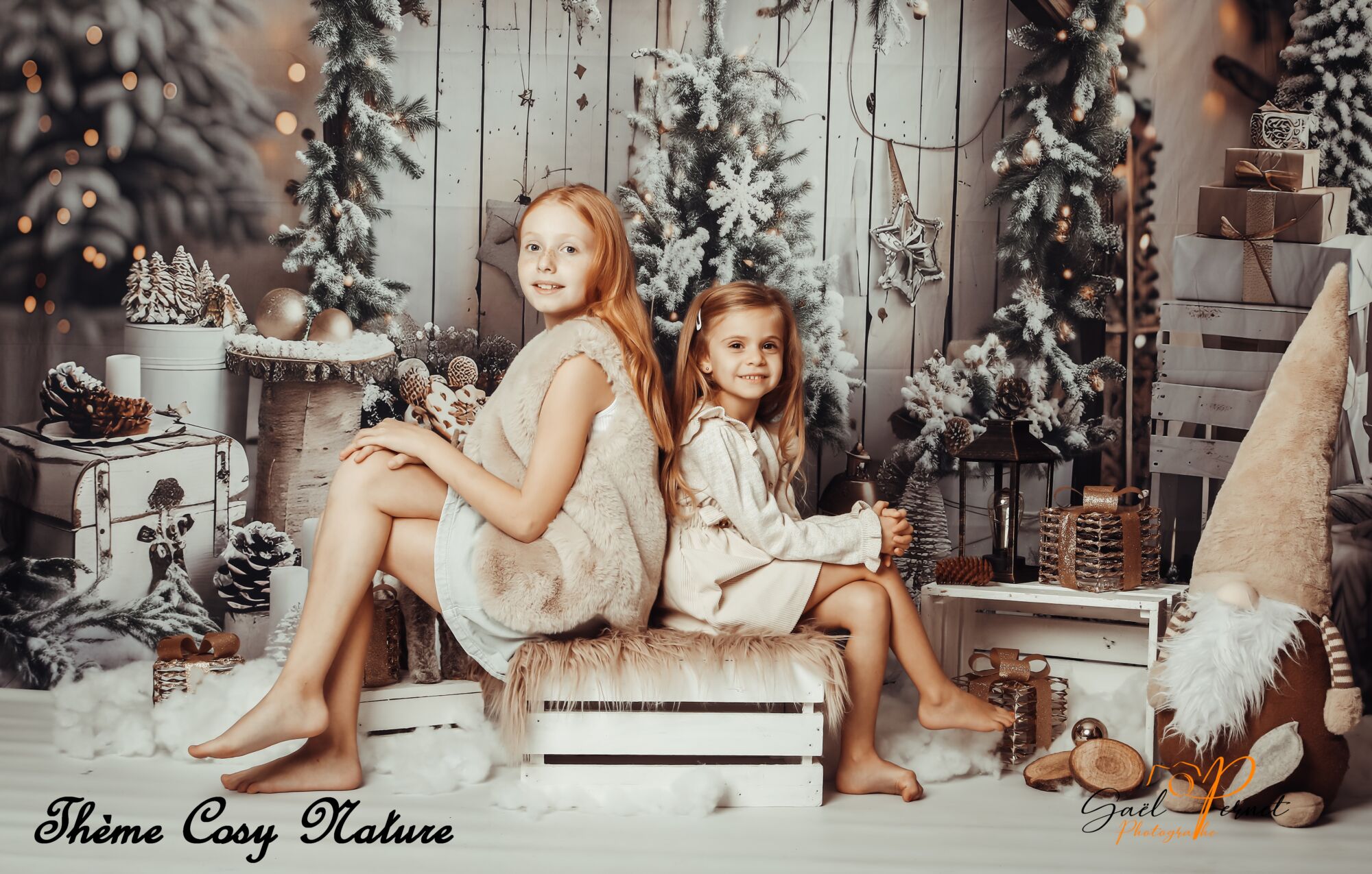 5D4_1079 | Gaël Photographe Noël va approcher et vous souhaitez faire un cadeau original à vos enfants ou aux grands-parents ou à vous-même ? Delle 35